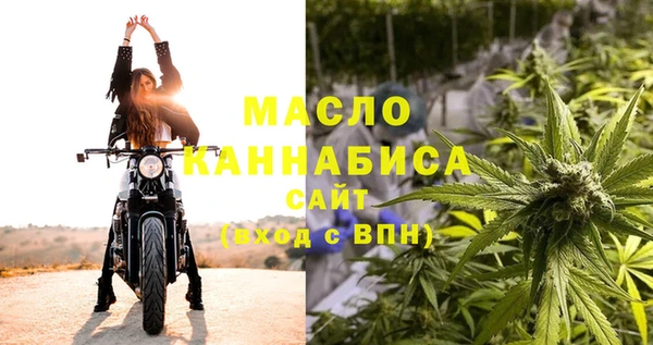 гашик Пестово