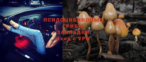 ПСИЛОЦИБИНОВЫЕ ГРИБЫ Абдулино
