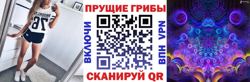 Псилоцибиновые грибы мухоморы  даркнет какой сайт  Котово  как найти закладки 